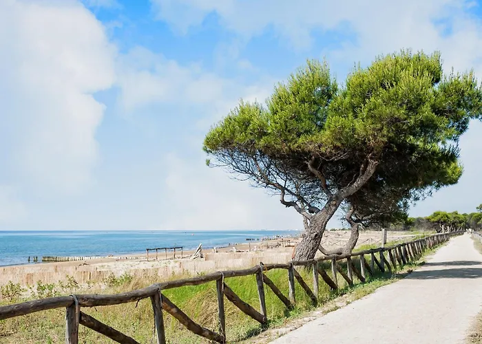 Bright Flat With A Large Balcony * Μπιμπιόνε